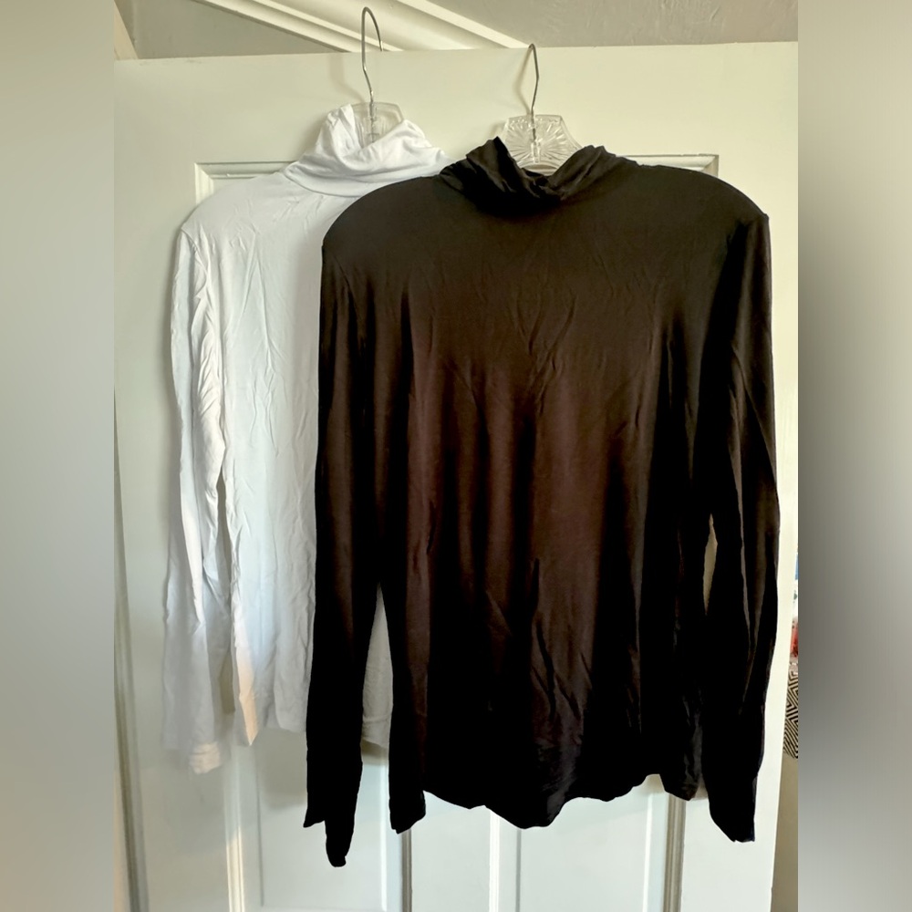 Set of 2 Long Sleeve Turtle Neck Shirts